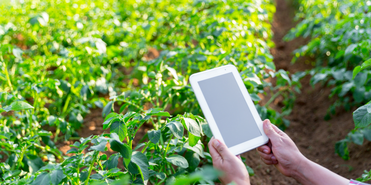 A Fundação Finnova auxiliará a fornecer respostas aos diversos desafios da transformação digital do setor agroalimentar.