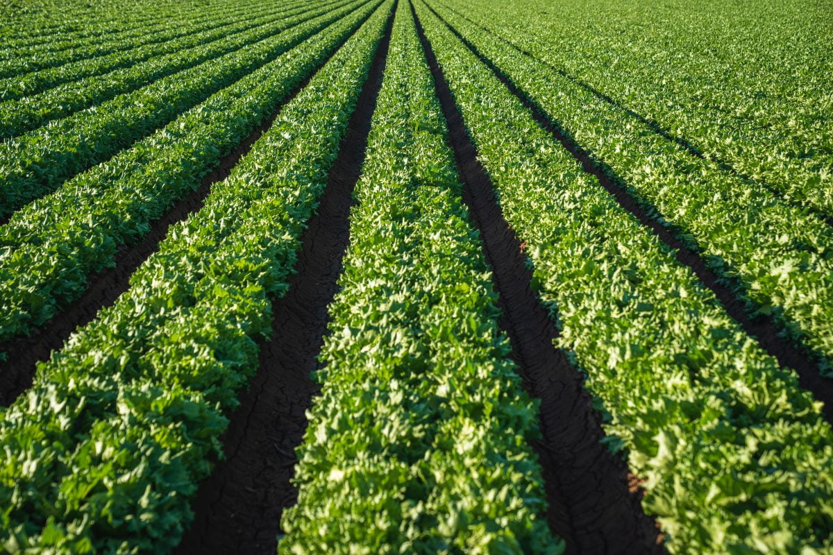 AGROEXPO acogerá la Asamblea General del Clúster Agroalimentario y Agropecuario de Extremadura el 26 de enero de 2024